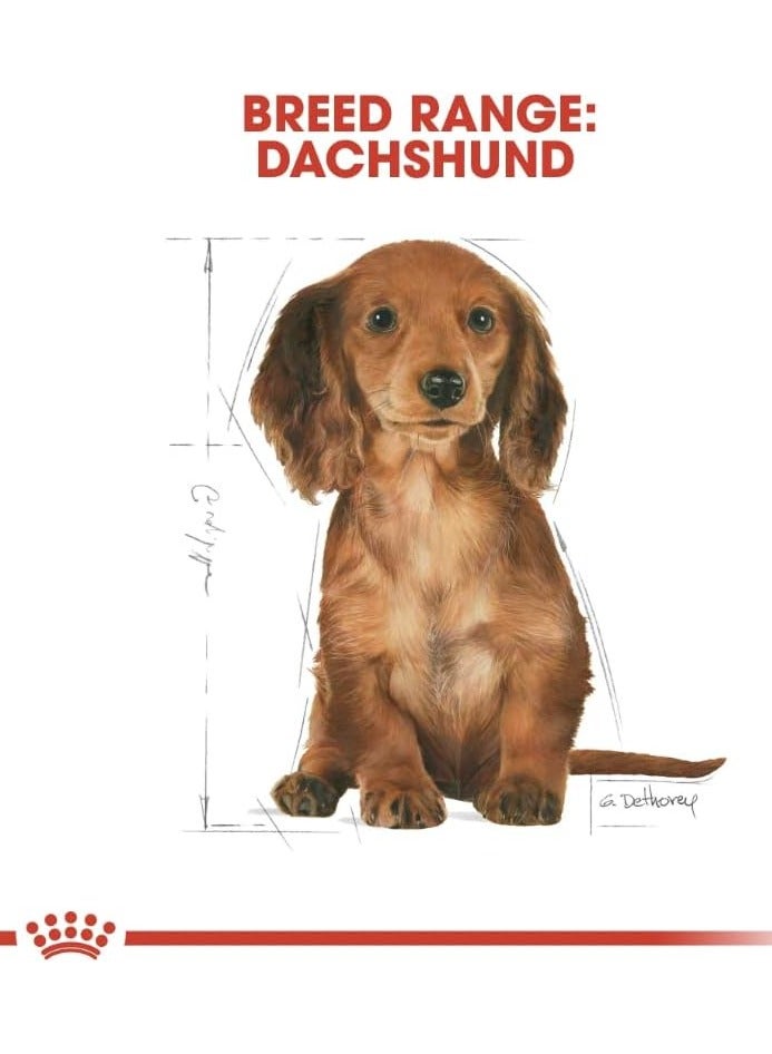 Breed Health Nutrition Dachshund Puppy 1.5 KG