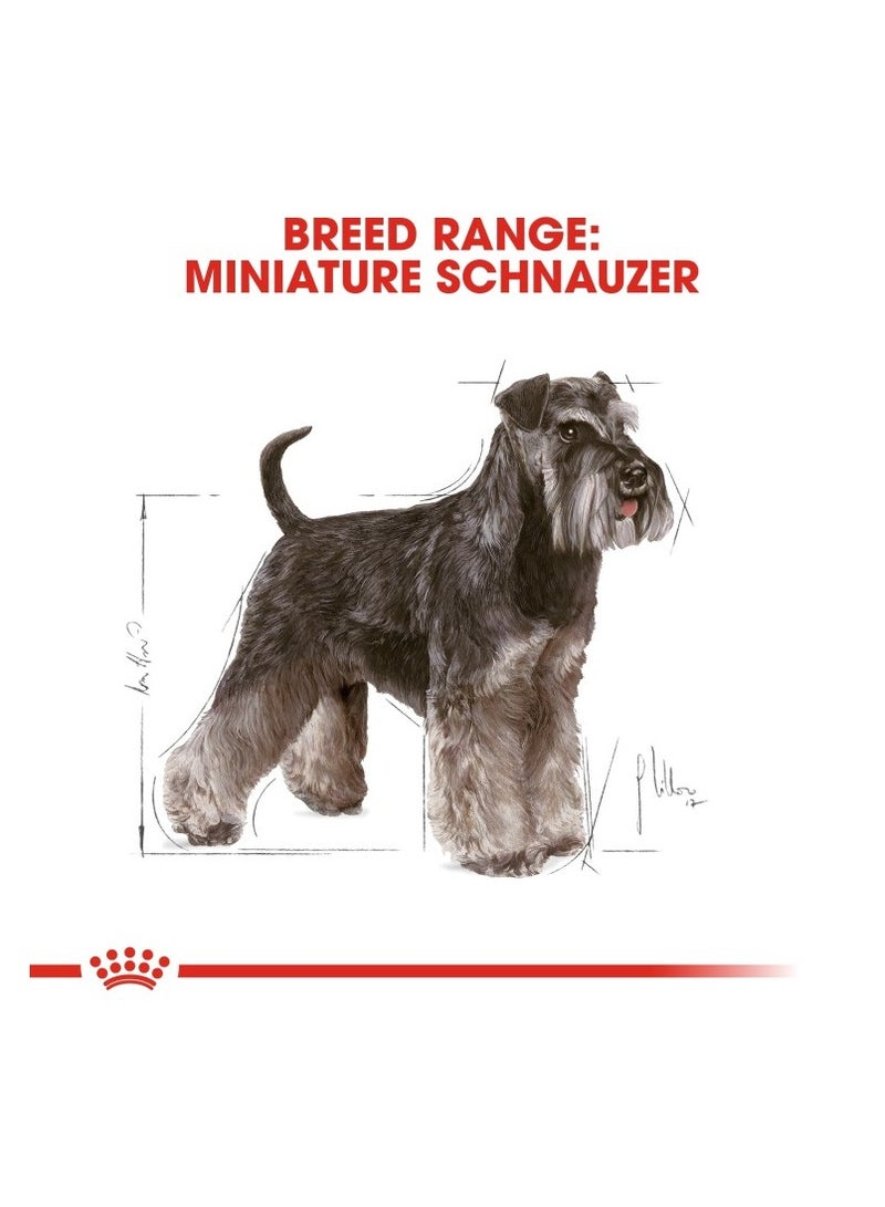 Breed Health Nutrition Miniature Schnauzer Adult 3 KG