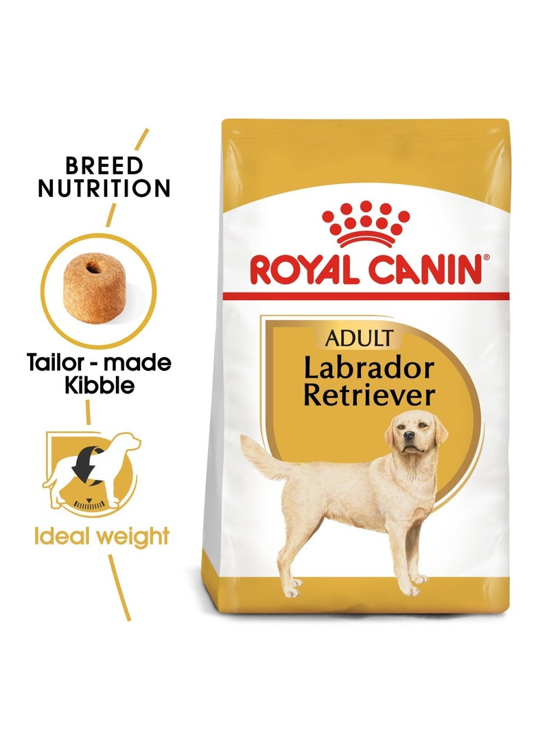 Breed Health Nutrition Labrador Adult 3 KG