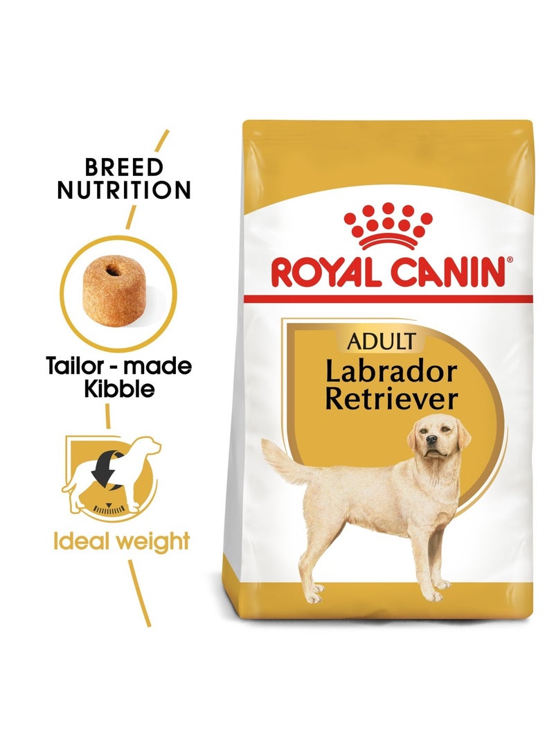 Breed Health Nutrition Labrador Adult 3 KG