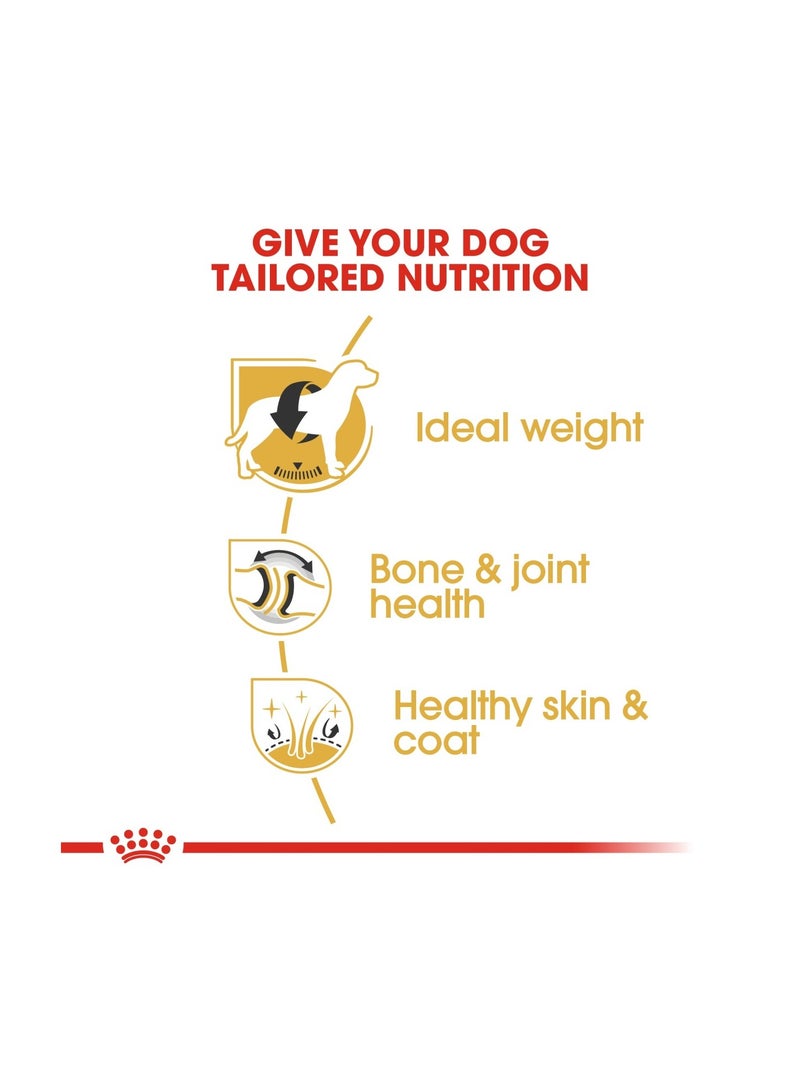 Breed Health Nutrition Labrador Adult 3 KG