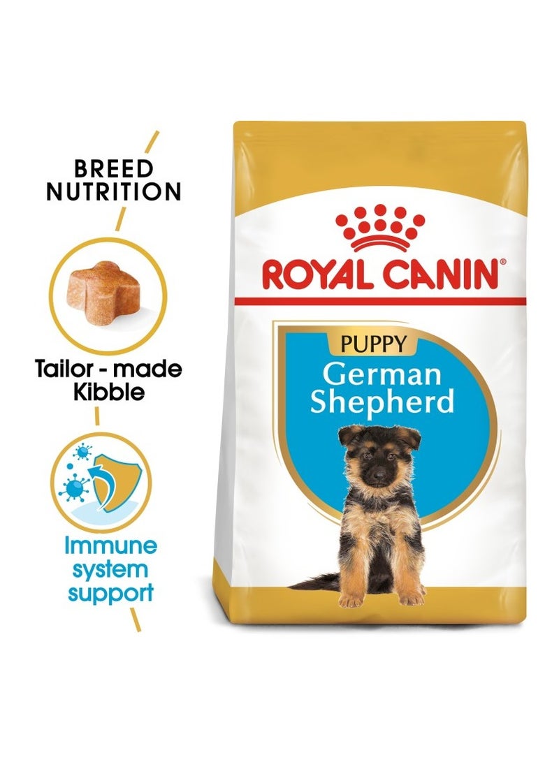 Breed Health Nutrition German Shepherd Puppy 3 KG