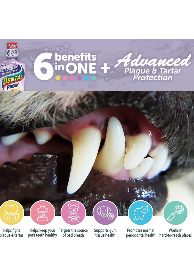 Dental Fresh Water Additive - Original Formula for Dogs - (17 oz)