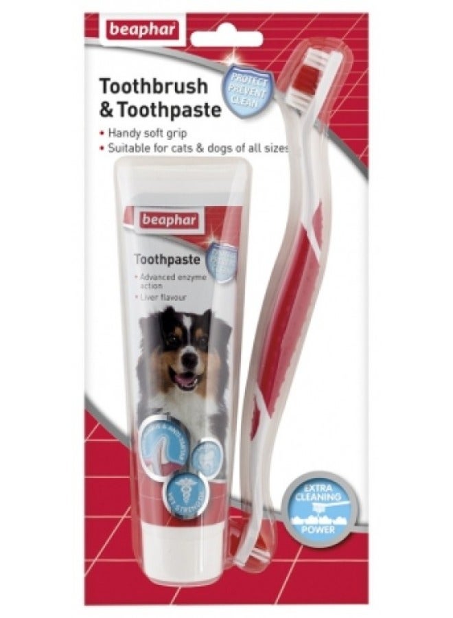 Toothbrush Toothpaste  Combipack