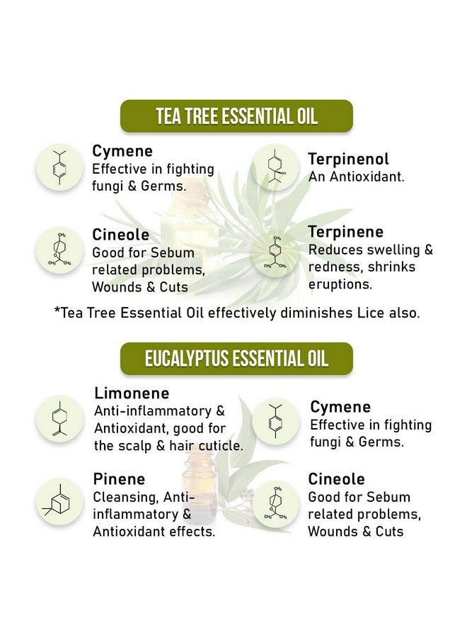 Keya Seth Aromatherapy Scalp Care Dandruff Removal Shampoo With Salicylic Acid Tea Tree & Eucalyptus Oil Reduces Dandruff & Flakes Itchy Scalp 200Ml