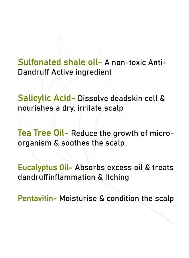 Keya Seth Aromatherapy Scalp Care Dandruff Removal Shampoo With Salicylic Acid Tea Tree & Eucalyptus Oil Reduces Dandruff & Flakes Itchy Scalp 200Ml