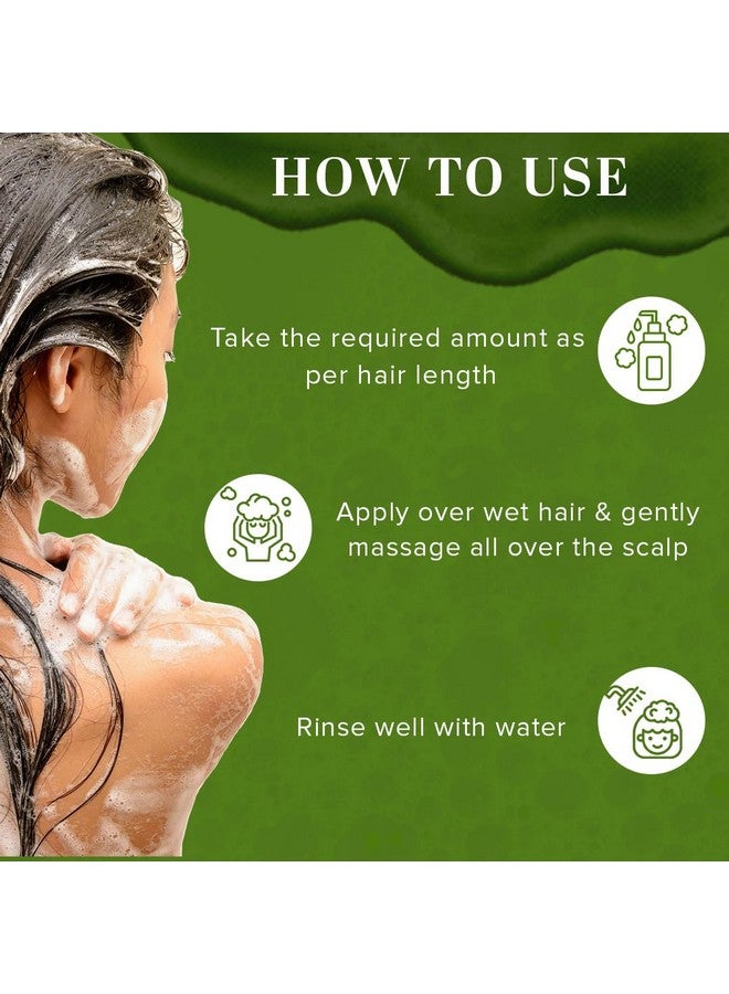 Amla & Reetha Hair Shampoo | Anti-Hair Fall Shampoo | Shampoo For Thick & Strong Hair | Ayurvedic Shampoo For Healthy Hair | Suitable For All Hair|Pack Of 2 | (210 * 2) (420 Ml)