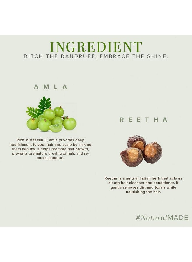 Amla & Reetha Hair Shampoo | Anti-Hair Fall Shampoo | Shampoo For Thick & Strong Hair | Ayurvedic Shampoo For Healthy Hair | Suitable For All Hair|Pack Of 2 | (210 * 2) (420 Ml)