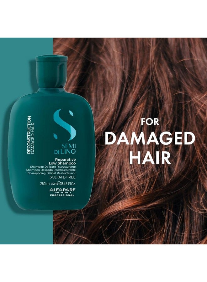 Reparative Shampoo For Damaged Hair, Repairs Bond - Safe On Color Treated Hair - Hairfall Repair Shampoo|Absolute, Extenso, Sulfate, Paraben And Paraffin Free (1000Ml))