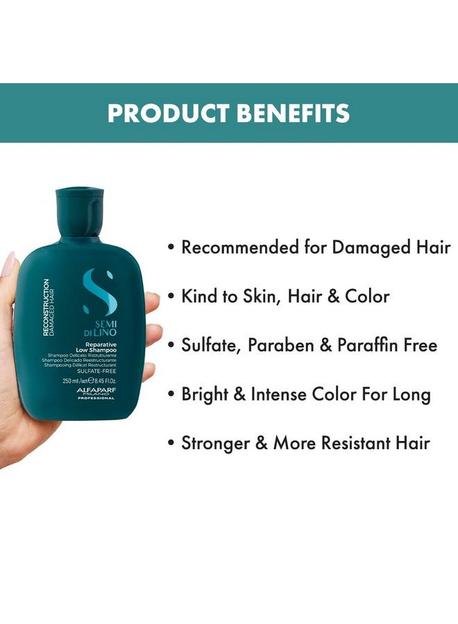 Reparative Shampoo For Damaged Hair, Repairs Bond - Safe On Color Treated Hair - Hairfall Repair Shampoo|Absolute, Extenso, Sulfate, Paraben And Paraffin Free (1000Ml))