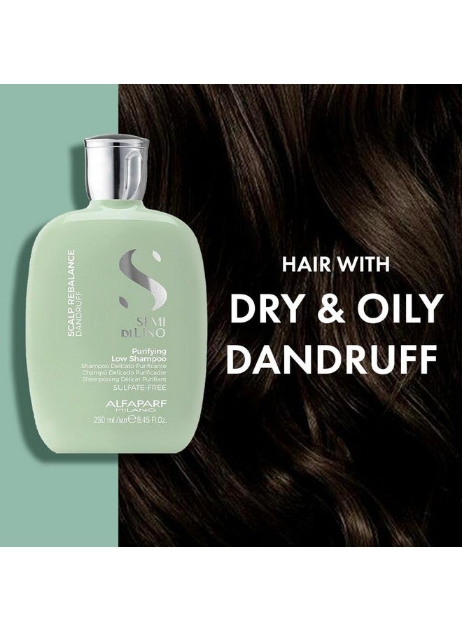 Professional Scalp Rebalance Shampoo For Dry Scalp And Oily Hair- Sulfate-Free - For Excessive Oiliness And Flakes -Sulfate, Paraben And Paraffin Free - 250Ml