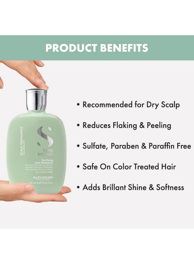 Professional Scalp Rebalance Shampoo For Dry Scalp And Oily Hair- Sulfate-Free - For Excessive Oiliness And Flakes -Sulfate, Paraben And Paraffin Free - 250Ml