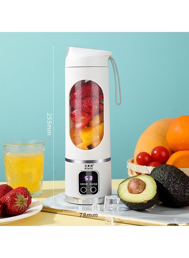 Household Slectric Juicer