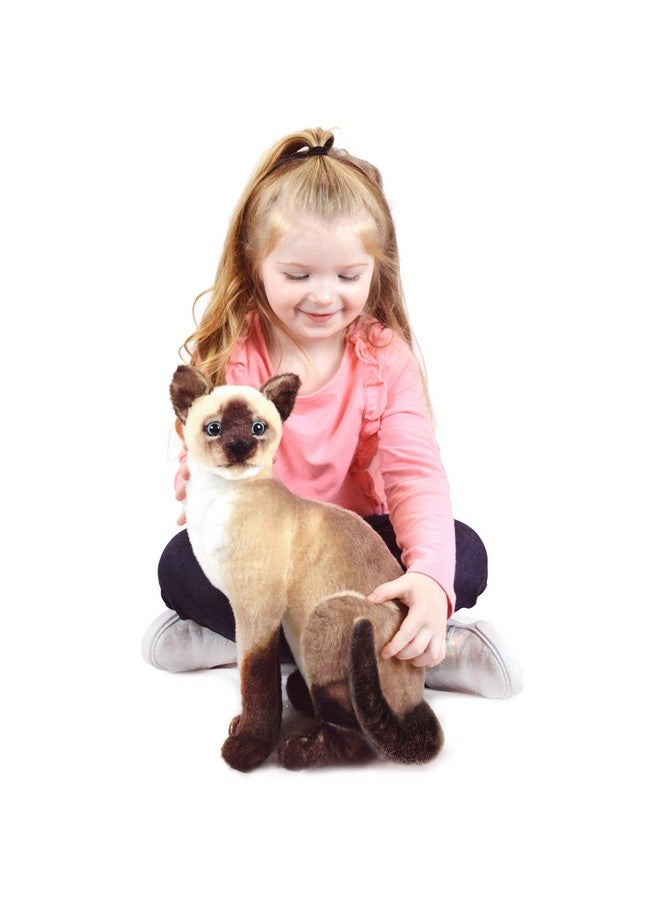 Stefan The Siamese Cat 14 Inch Stuffed Animal Plush By Tigerhart Toys