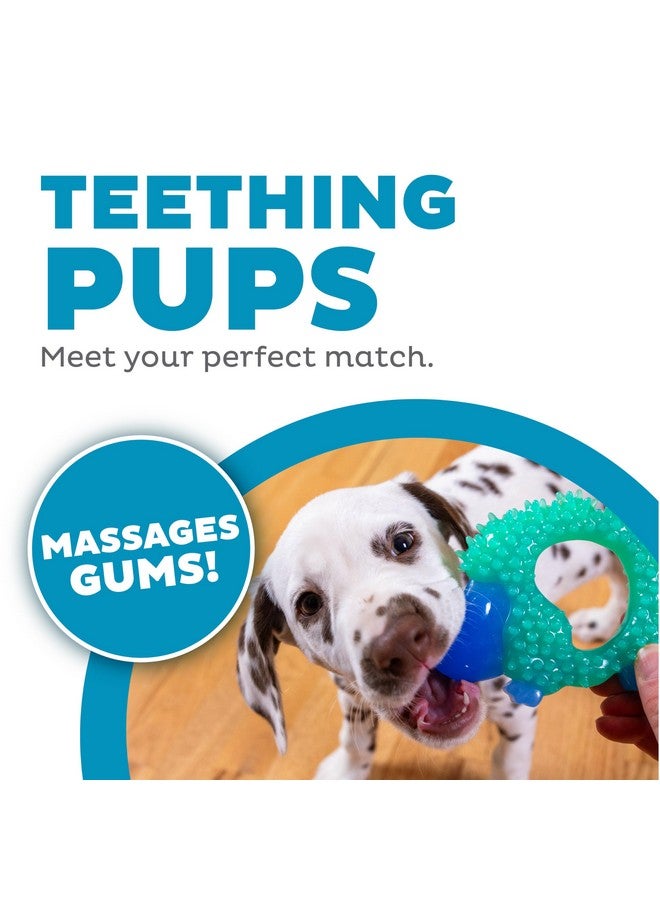 Cutie Chewies Hedgehog Dog Chew Toy