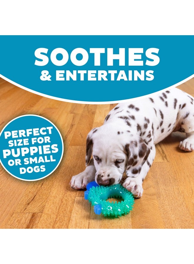 Cutie Chewies Hedgehog Dog Chew Toy