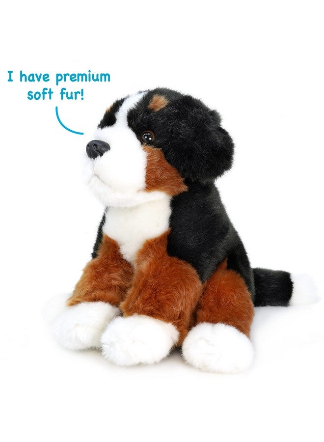 Bastien The Bernese Mountain Dog | 13 Inch Stuffed Animal Plush | By Tigerhart Toys