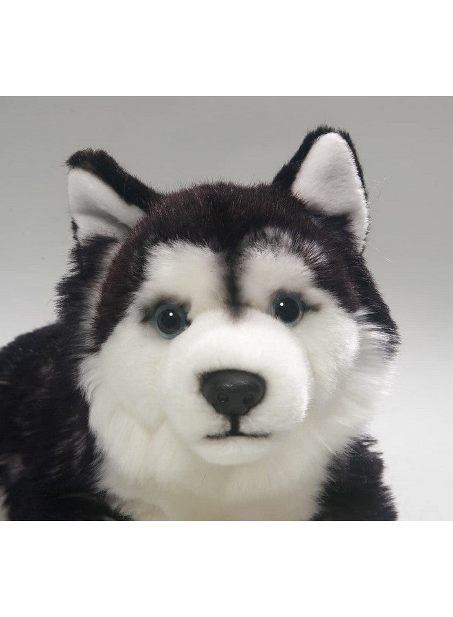 Husky 14 Inches, 32Cm Overall Length, Plush Toy, Soft Toy, Stuffed Animal 2783