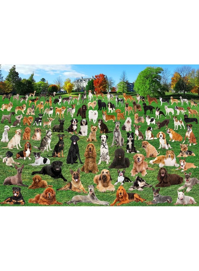 1000 Piece Puzzle For Adults 101 Lawn Puppies Puzzles For Adults 1000 Pieces Dogs Park Jigsaw Puzzles 1000 Pieces For Adults 101 Puppy Group Photo Puzzle 1000 Pieces, 1000 Piece Puzzle Dog 1000 Puzzle