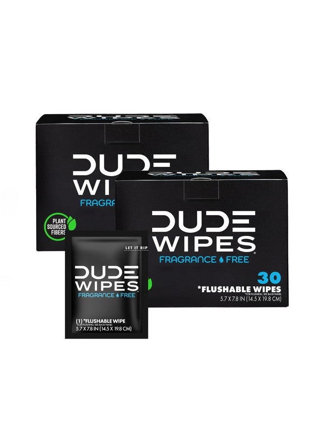 Wipes On The Go Flushable Wipes 2 Pack, 60 Wipes Unscented Extra Large Individually Wrapped Adult Wet Wipes Vitamin E & Aloe Septic And Sewer Safe