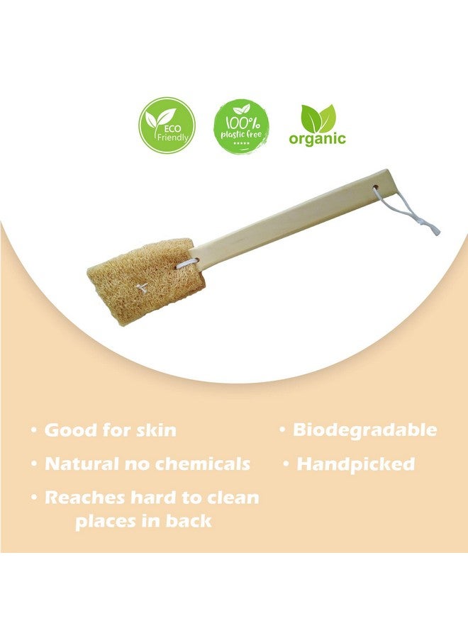 Natural Loofah For Bathing Exfoliating Scrubbers Organic Bath Sponge For Spa Shower Face Back And Body Scrubber Ecofriendly (15 Inch Bath Brush On A Handle)