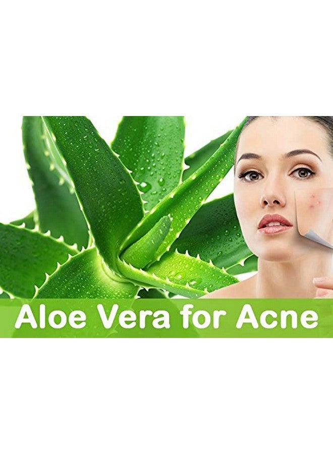 Combo Of Aloe Vera Gel 500G & Tea Tree Essential Oil 15Ml - 100% Pure & Natural For Skin, Face, Acne Scars, Hair, Moisturizer & Dark Circles (Combo Of 2)