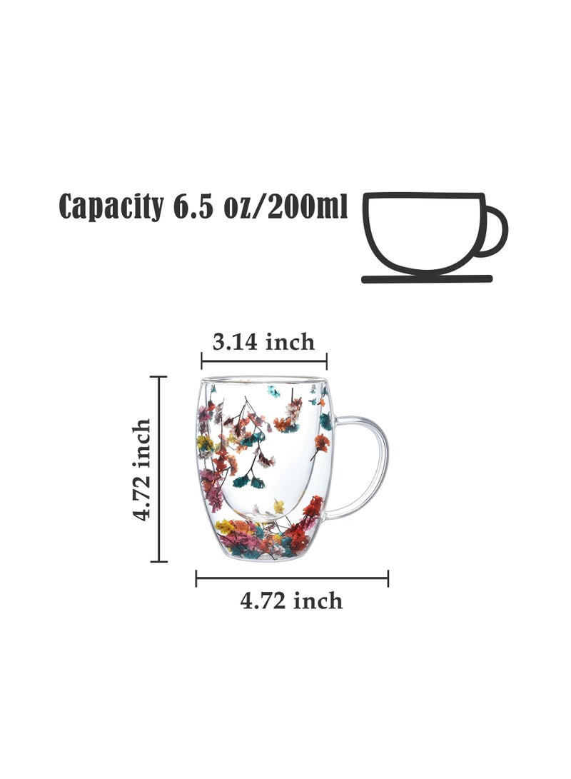 Insulated Double Walled Glass Coffee Mug with Handle for Hot Beverages, 300ml Clear Cup Ideal for Cappuccino, Tea, and Espresso