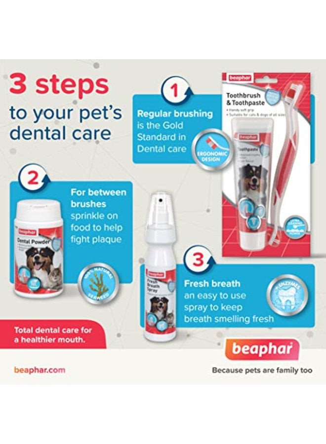 Beaphar Toothbrush & Toothpaste Combipack For Cats & Dogs