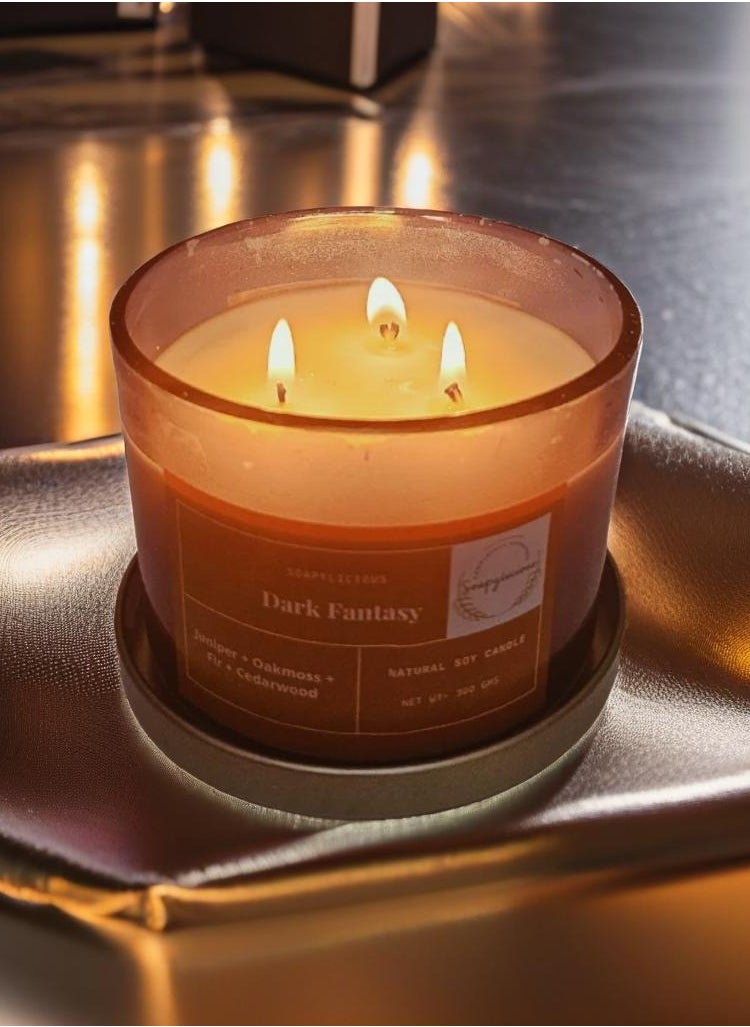 Soy wax candle - Juniper, oakmoss, fir and cedarwood  300g, Premium Gift-Ready Box Completely natural and Handmade for home and offices, non toxic, Vegan, eco-friendly