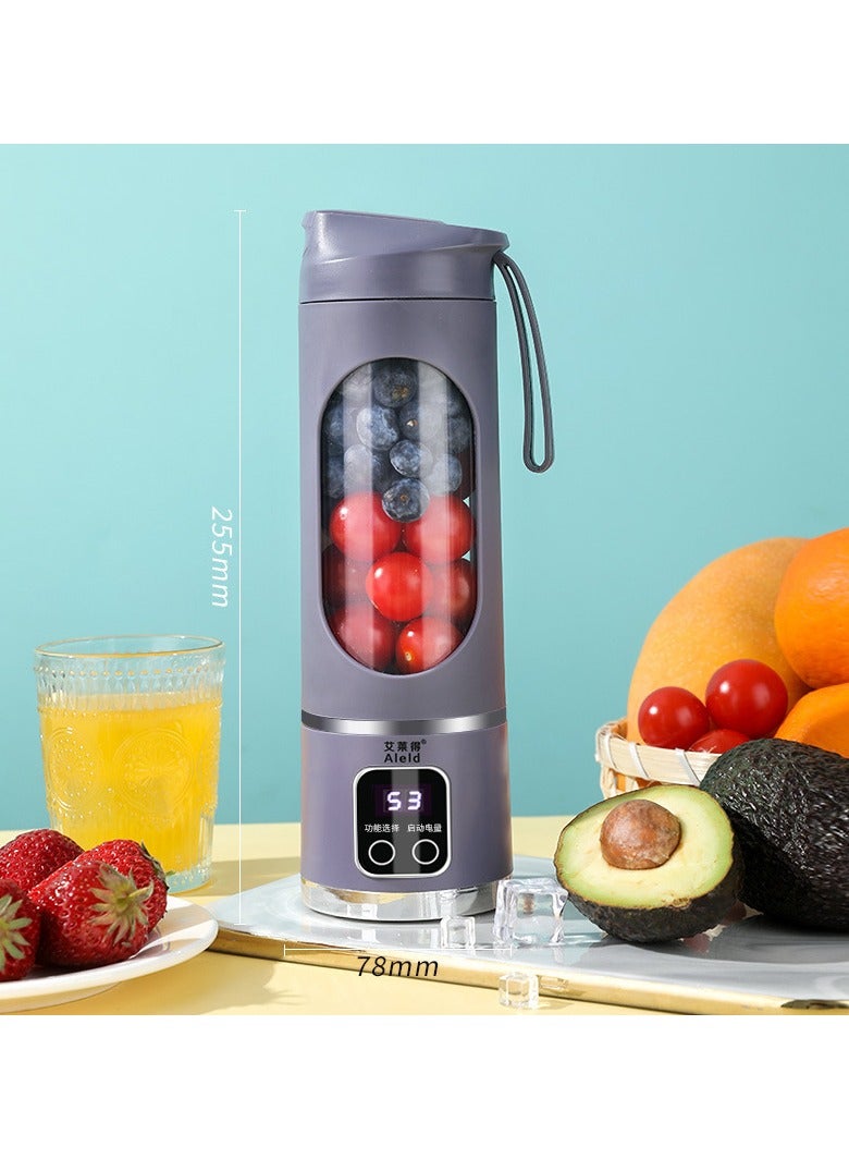 Household Slectric Juicer