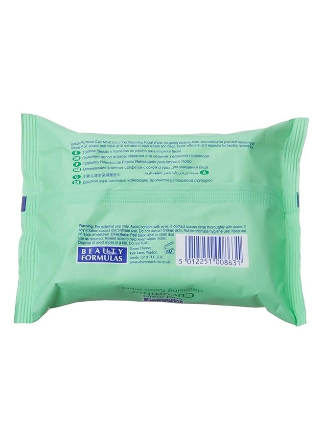 Cucumber Cool Moist Cleansing Facial Wipes 100 Wipes – All Skin Types, Removes Oil, Grease & Makeup, Cleanses, Tones & Moisturizes