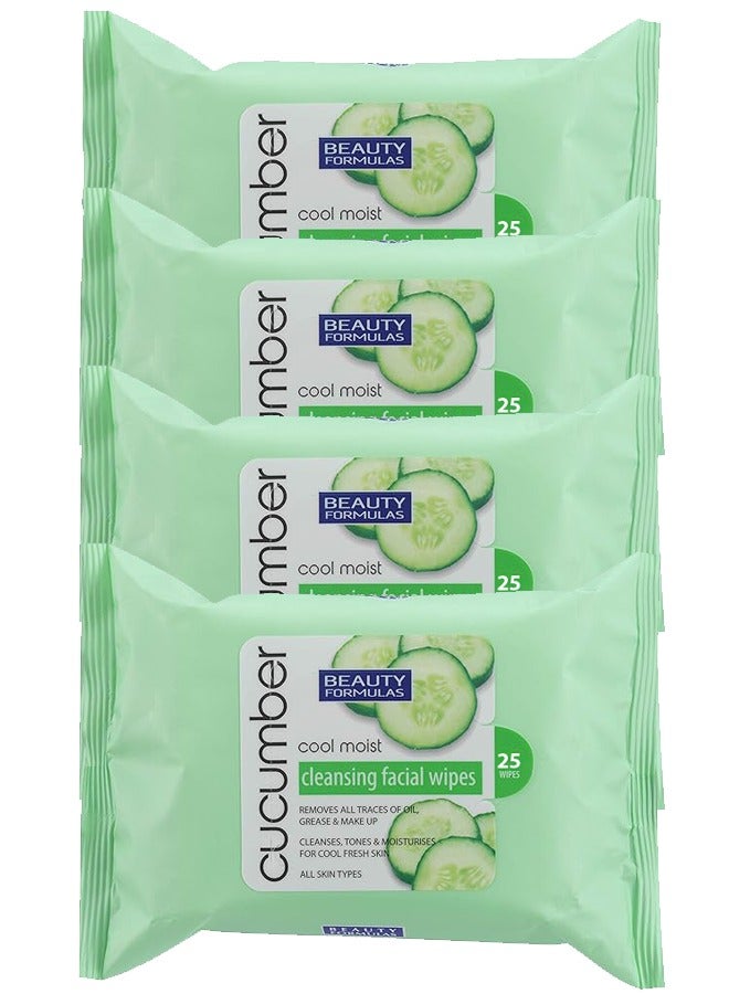 Cucumber Cool Moist Cleansing Facial Wipes 100 Wipes – All Skin Types, Removes Oil, Grease & Makeup, Cleanses, Tones & Moisturizes