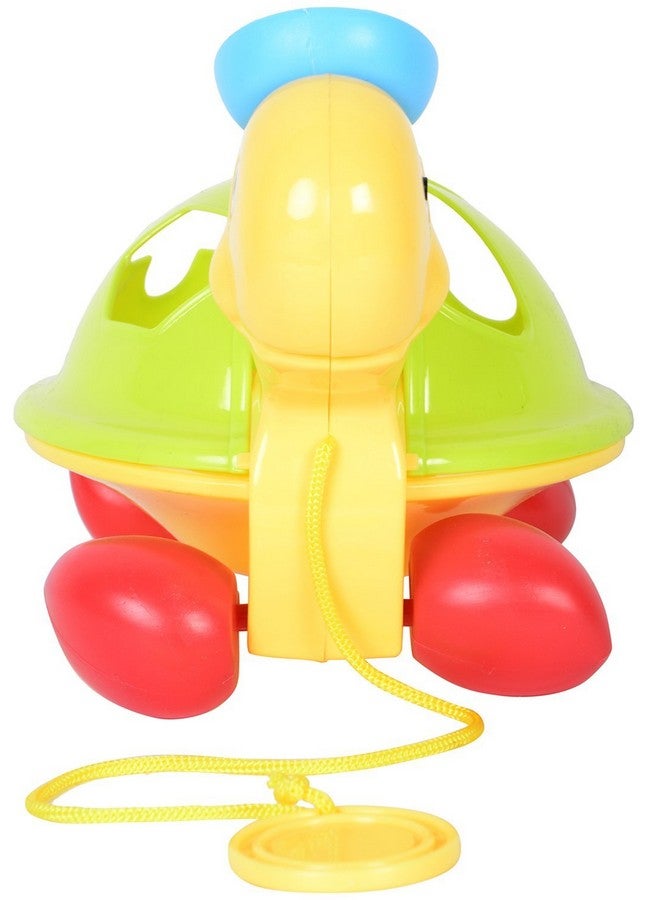 Littles Pull Along Shape Sorting Tortoise