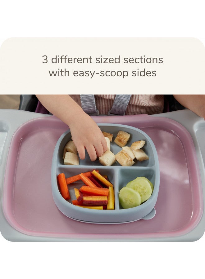 Nature Suction Plate And Lid