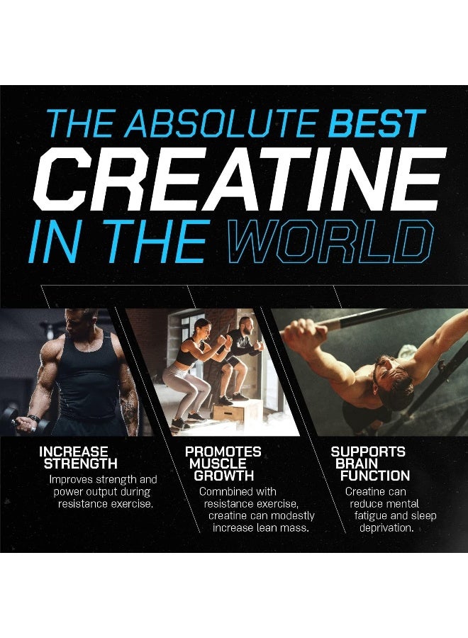 Creapure Creatine Monohydrate Powder Vegan Keto Friendly Gluten-Free Mass Gainer Muscle Recovery Supplement And Best Creatine For Muscle Growth Unflavored 300G