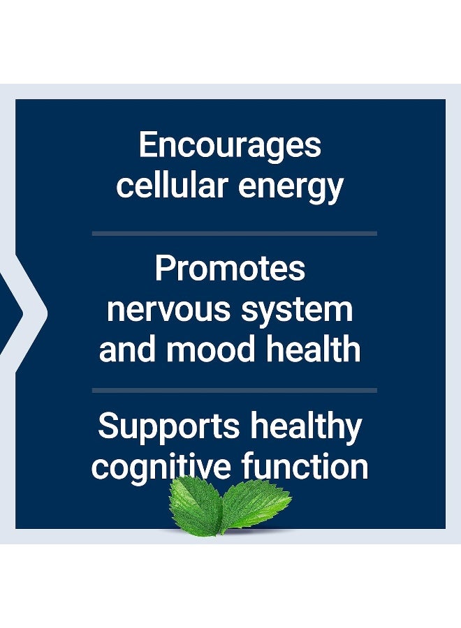 Acetyl-L-Carnitine 500 Mg 100 Capsules