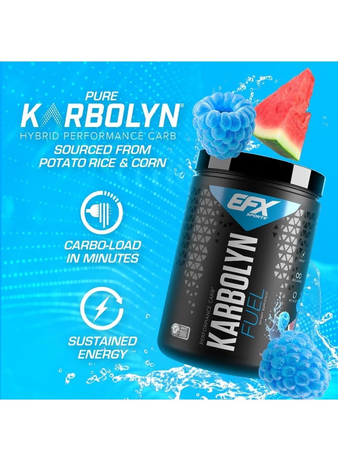 Karbolyn Fuel Pre Intra Post Workout Carbohydrate Supplement Powder Carb Load Energize Improve & Recover Faster Easy To Mix Blue Razz Watermelon (2Lb 3.3 Oz)