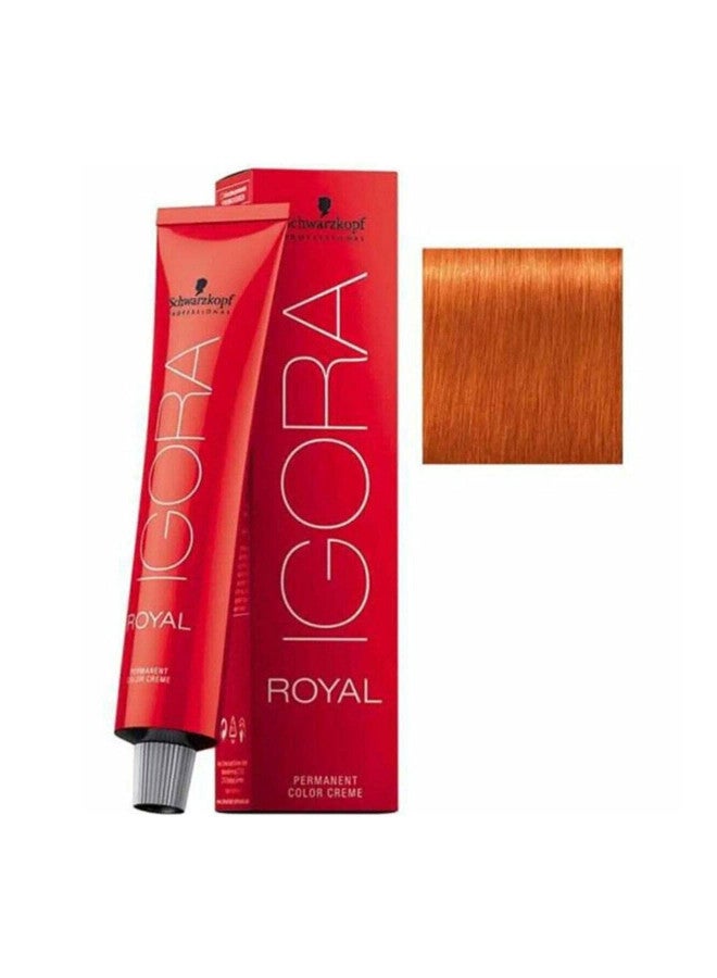 - Royal Igora 8-77 02/13 60 Ml