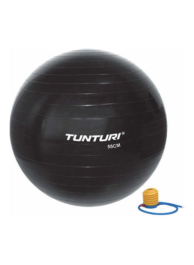 Inflatable Gym Bal with pump 65cm