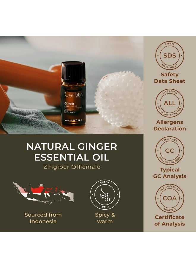 Ginger Oil For Hair Growth 100% Pure Natural Ginger Essential Oil For Massage Oil Ginger Oil For Hair GrowthSkin & Diffuser (10 Ml)