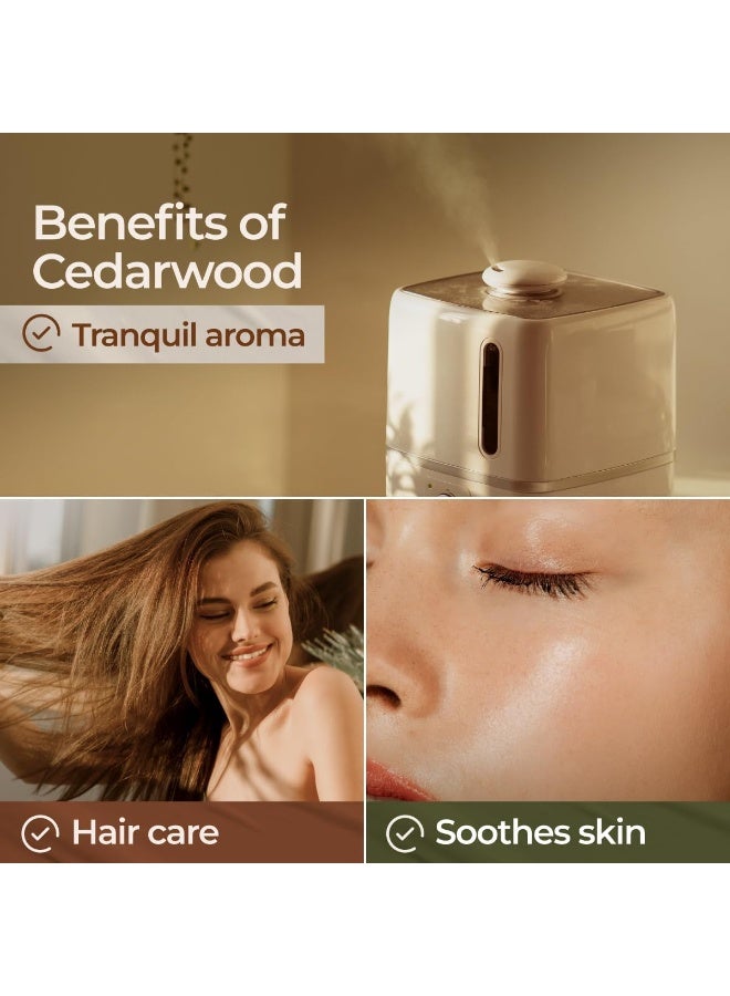 Cedarwood Essential Oil For Hair And Diffuser Essential Oil Cedarwood Oil For HairAromatherapy & Skin (0.34 Fl Oz) 100% Pure