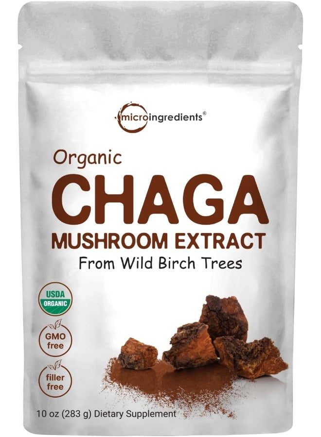 Organic Chaga Mushroom Extract 100:1 Powder, 6 Ounce