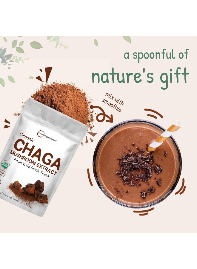 Organic Chaga Mushroom Extract 100:1 Powder, 6 Ounce