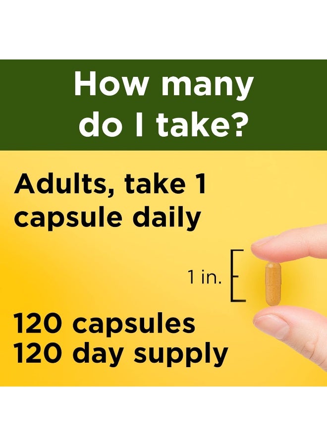 Turmeric Curcumin 500 Mg, Herbal Supplement For Antioxidant Support, 120 Capsules, 120 Day Supply