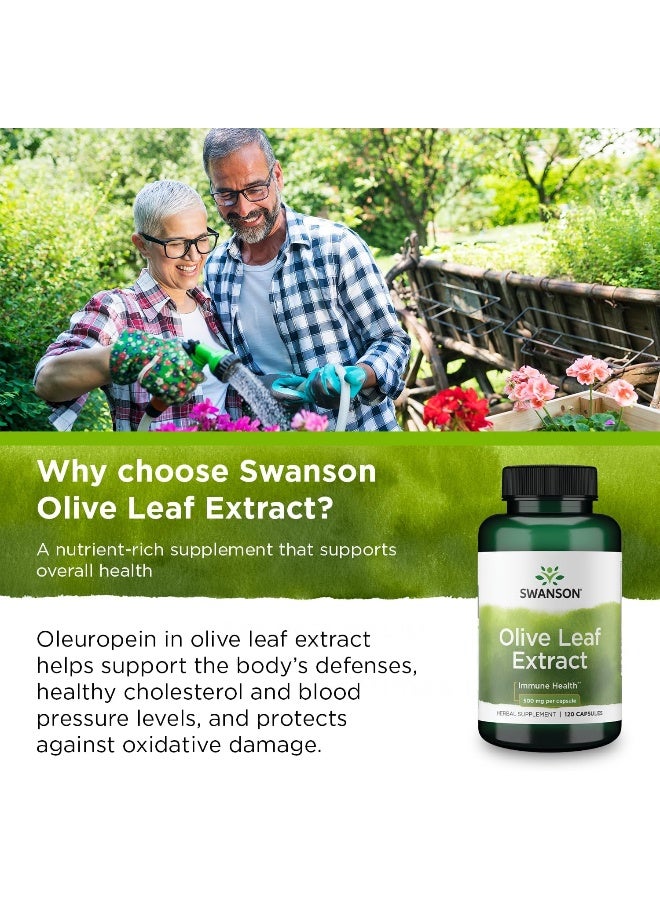 Herbs Olive Leaf Extract 500Mg 120 Capsules