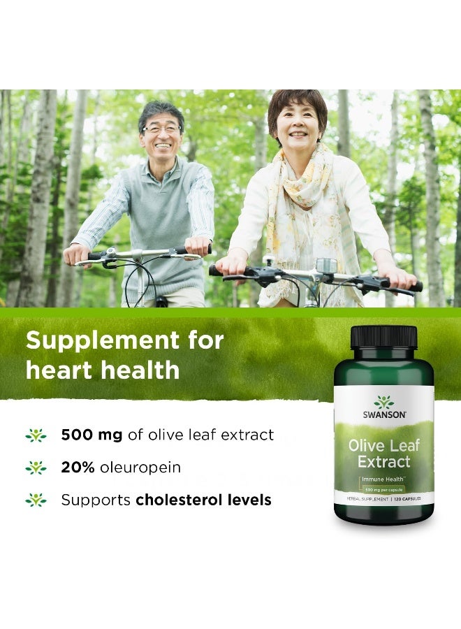 Herbs Olive Leaf Extract 500Mg 120 Capsules