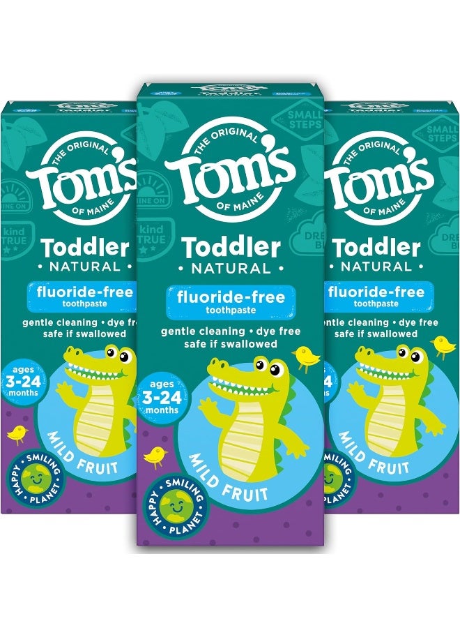 Tom'S Of Maine Fluoride-Free Toddler Training ToothpasteMild Fruit1.75 Oz. 3-Pack