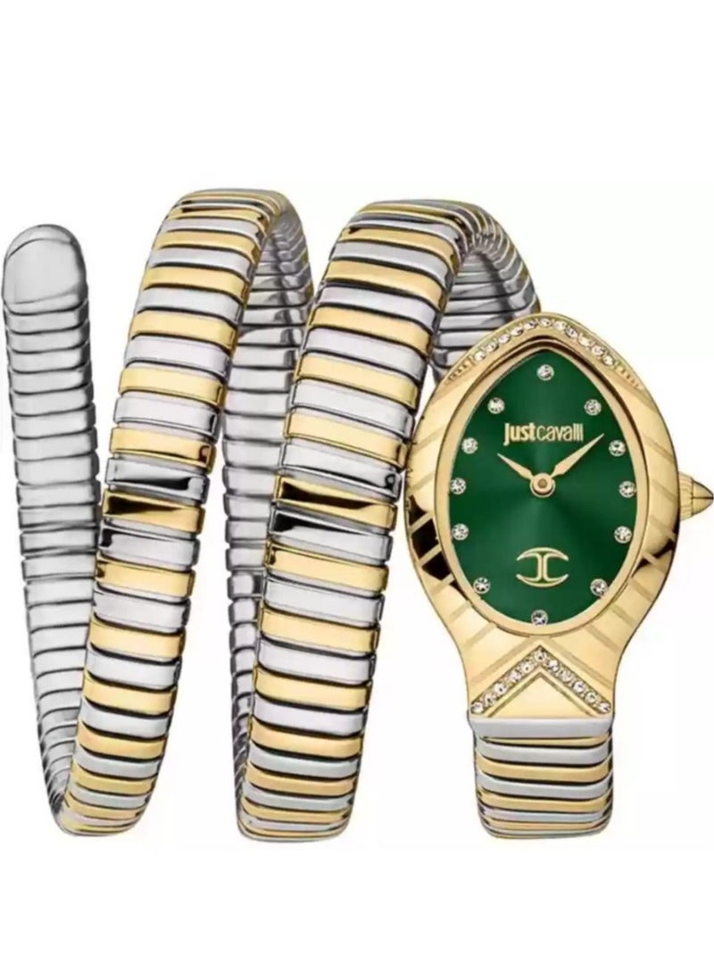 Justcavalli Women's Analog Quartz Watch Stainless Steel Green Dial JC1L248M0065