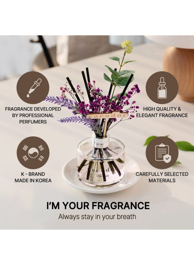 Cocodor Lavender Reed Diffuser English Pearfree 67 Oz 200Ml 1 Pack Home Decor And Office Decor Fragrance And Gifts