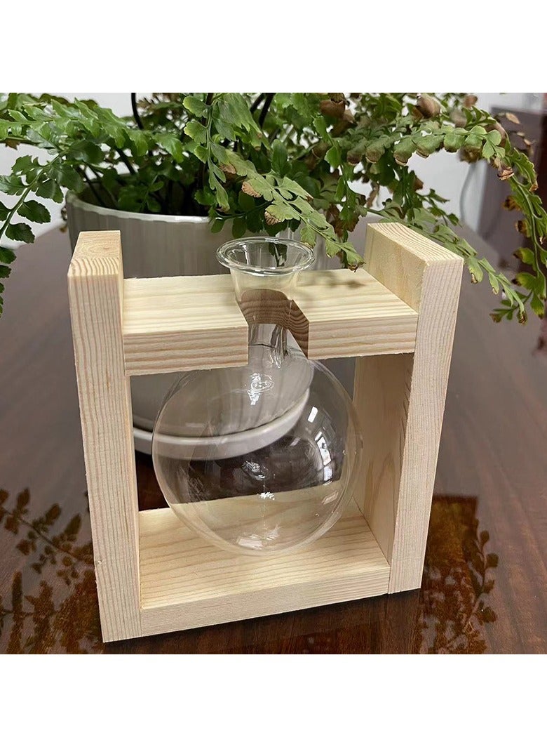 Creative Wooden Frame Hydroponic Glass Vase